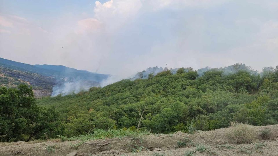 Се укинува целосната забрана за движење во шума и на шумско земјиште