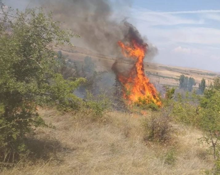 Девет пожари на отворено низ државава до 14 часот