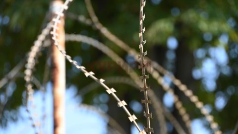 Убиецот на Шинзо Абе ќе се жали на доживотната затворска казна