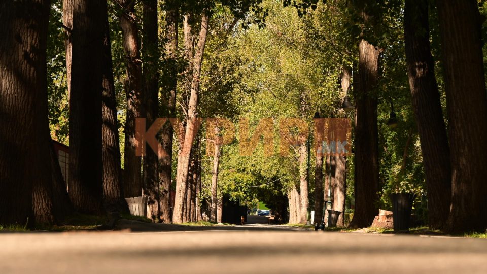 Сончево, претпладне со услови за магла по одделни котлини