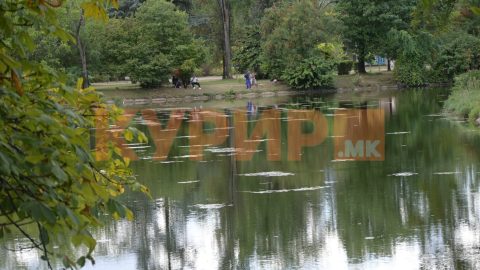 Викендов снег: Од понеделник голема промена на времето, еве колкави ќе бидат температурите
