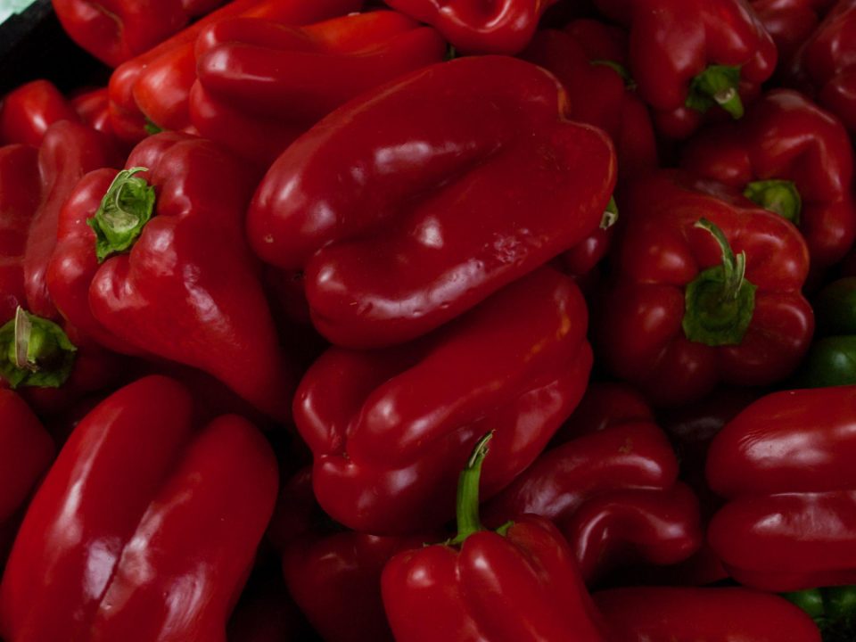 ДЗИ: Инспекциски контроли кај извозникот, откупувачите и производителите, црвените пиперки не се вратени во Македонија