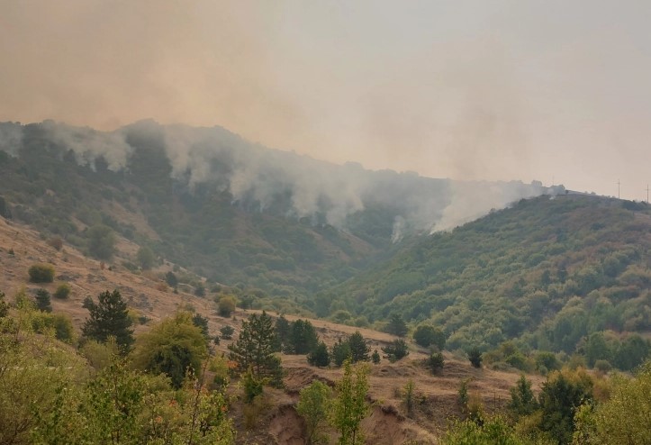 Се проширува пожарот во Мариово, периметарот на огнената линија изнесува 110 километри