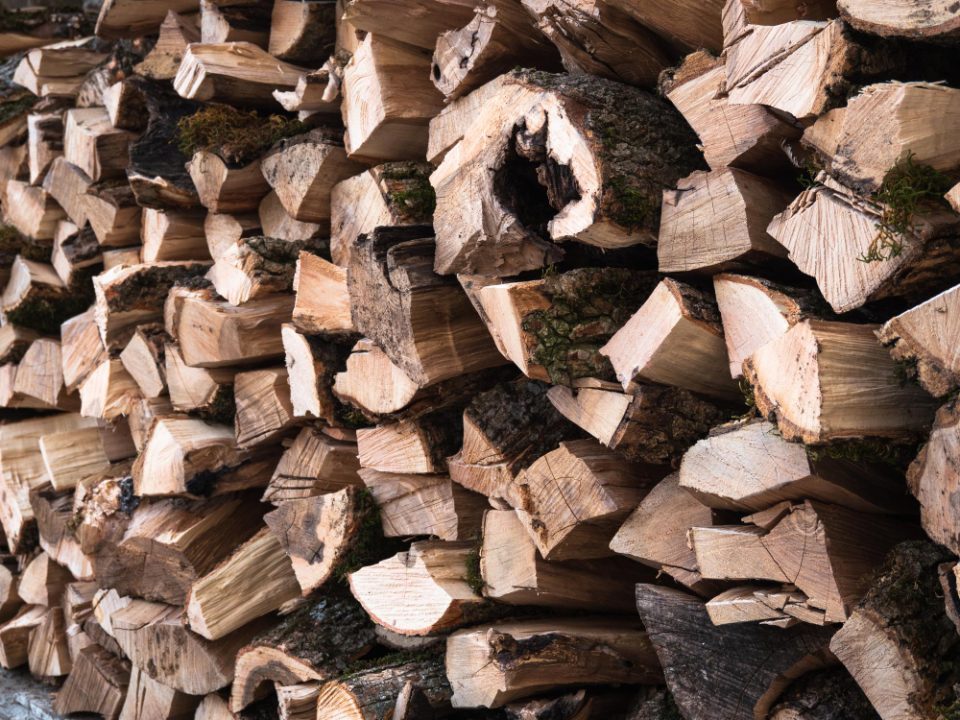 Маж почина откако врз него паднало дрвото кое го сечел