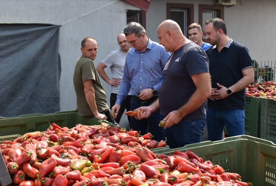 Трипуновски: Ќе го следиме откупот на пиперката до последниот килограм додека не се откупи согласно договорените цени