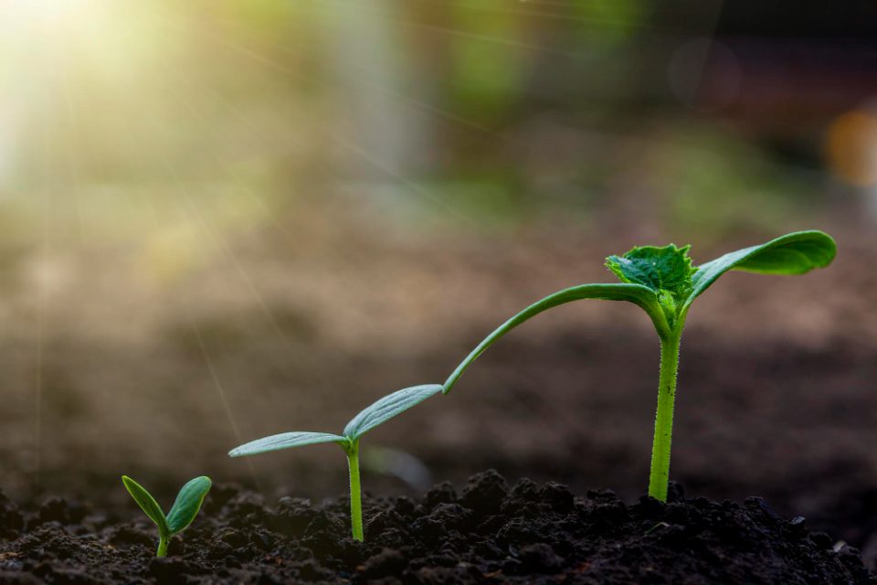 Големи штети во струмичко по вчерашното невреме