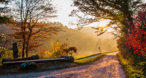 Претпладне магливо, попладне сончево