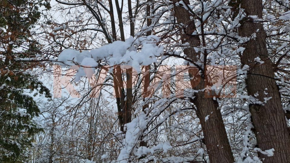 Студено време со дожд, снег на планините и на повисоките места