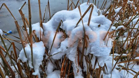 Најмногу дожд во Охрид, Тополчани и Крива Паланка, највисока снежна покривка на Попова Шапка