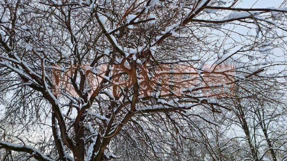 Студено време со повремени врнежи од снег