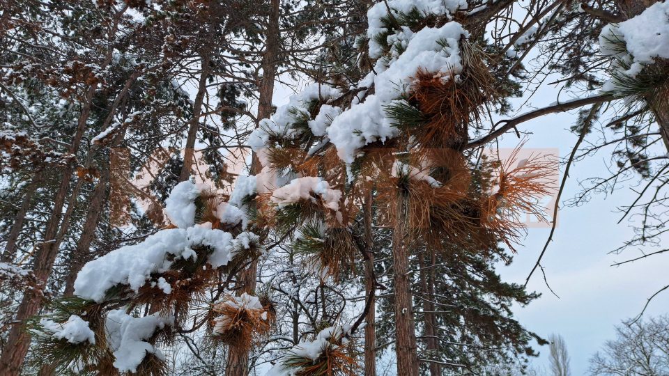 Слаб снег провејува на овие места