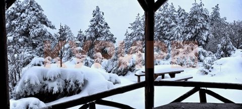 Студен бран со снег и силен ветер, еве каде врнежите ќе бидат најобилни