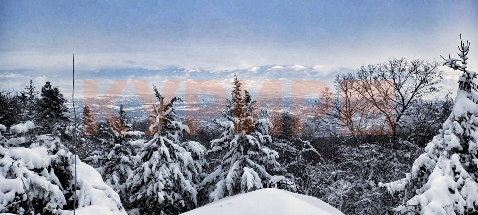 Во две спасувачки акции на Шара, спасени 6 лица