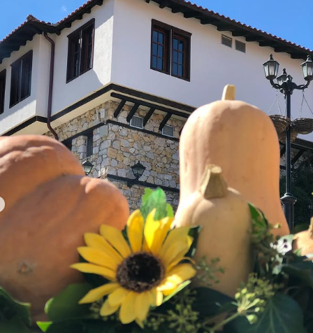 Томовски: Го заживуваме „Македонско село“, скопјани и останатите туристи ќе можат да избегаат од градскиот метеж, што за жал беше невозможно од 2019 до денес