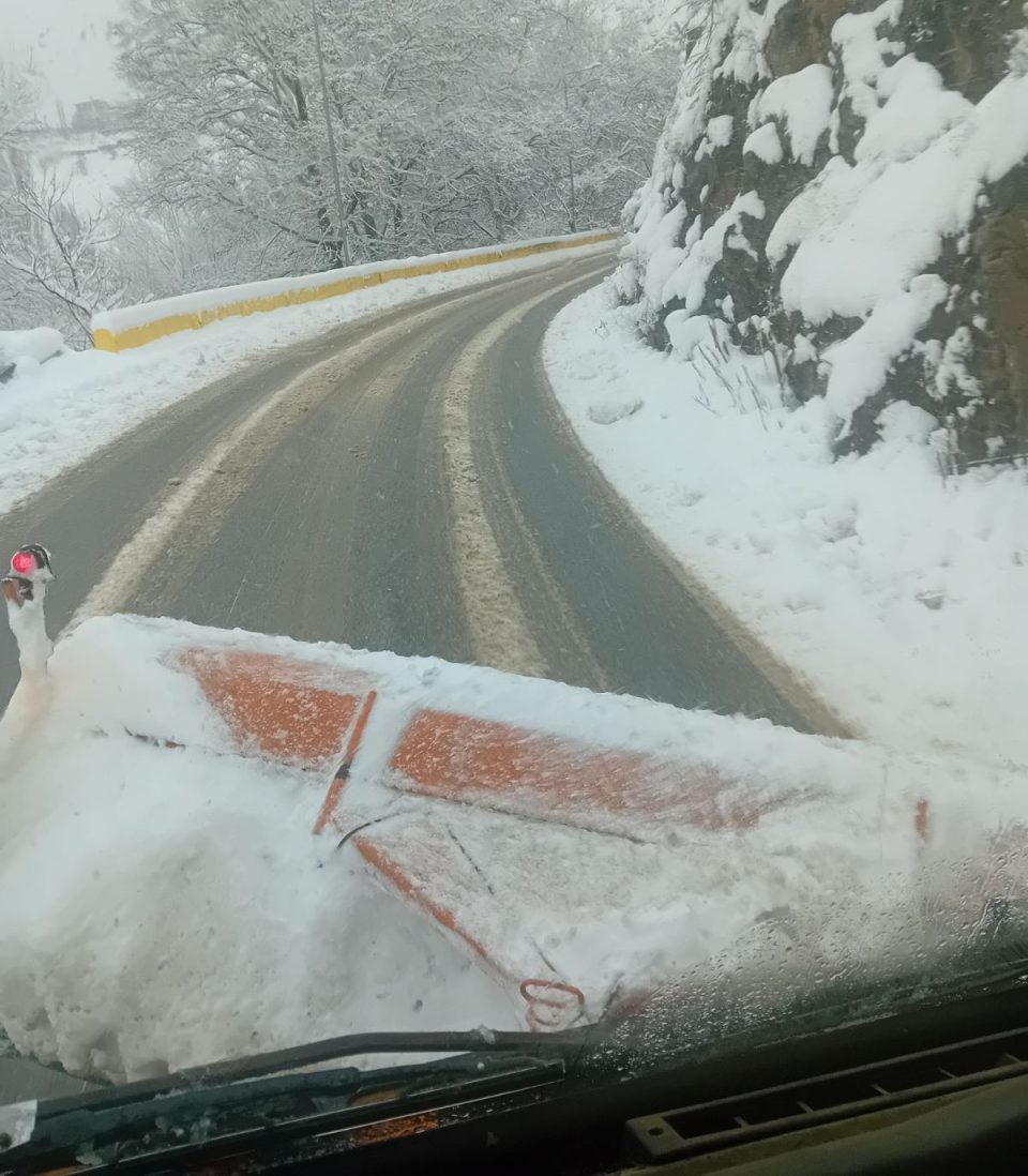 Дежурните екипи на ЈП Македонијапат и во текот на ноќта беа на терен (ФОТО)