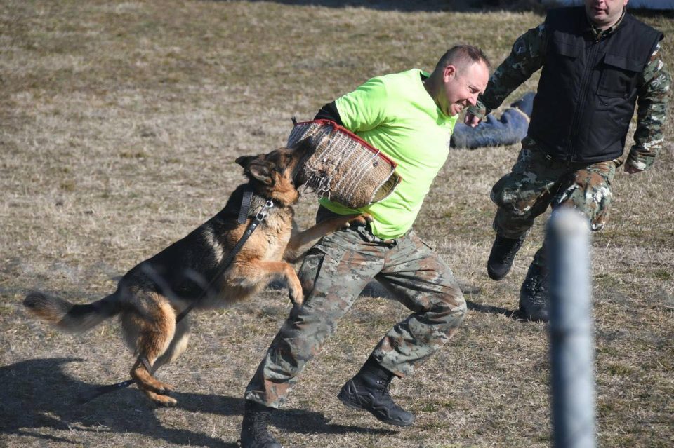 Мисајловски и Лафчиски во посета на Центарот за одгледување и дресура на службени кучиња