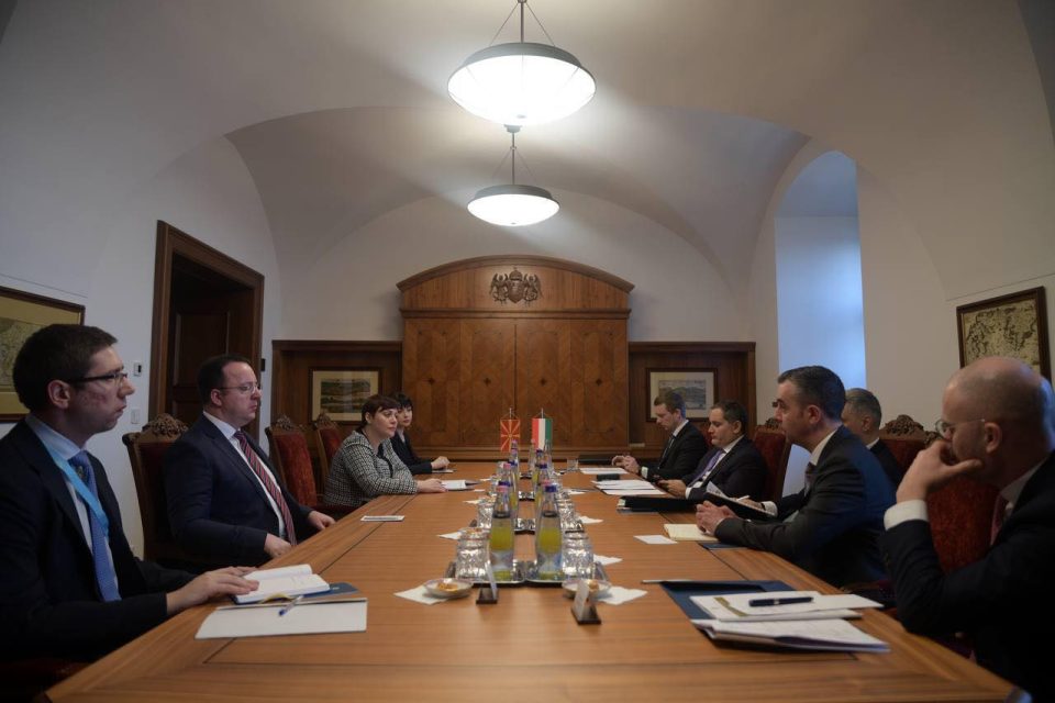 Средби на Димитриеска-Кочоска во Будимпешта: Инвестициите во фокусот на Владата, унгарската поддршка важна за економски развој на државата