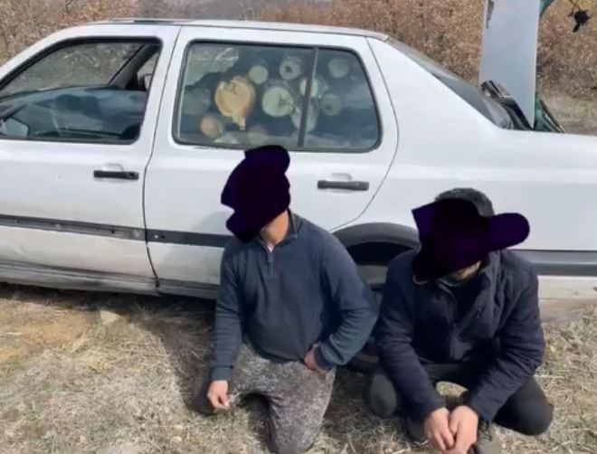 Шумската полиција фати голема група дрвокрадци во штипско