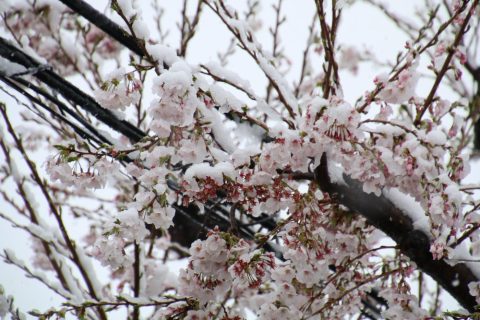 Утрово најстудено на Попова Шапка, најмногу дожд во Крушево и Охрид