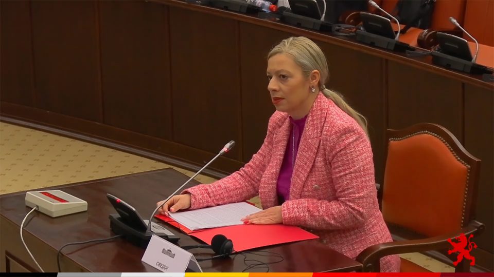 Андоновска: Предизвикот со загадувањето е сложен но не и нерешлив, благодарејќи на заедничката акција со државата