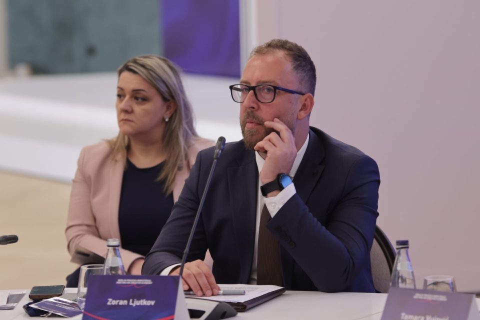 Љутков: Потенцијалот на културата и креативната економија како движечка сила за одржлив економски развој