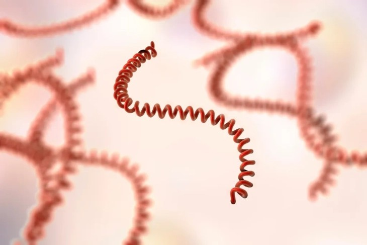 Во Сараево десет луѓе со симптоми на лептоспироза побарале лекарска помош