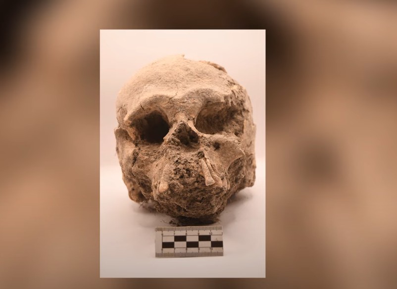 ВИДЕО: Археолозите открија светилиште на Маите старо 3.000 години