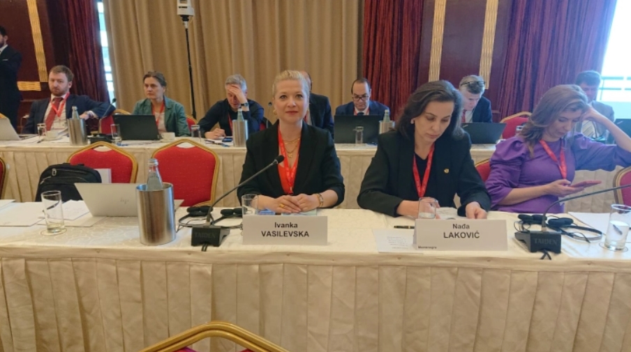 Учество на пратеничката Василевска на состанок на Постојаниот комитет на ПССЕ во Малта