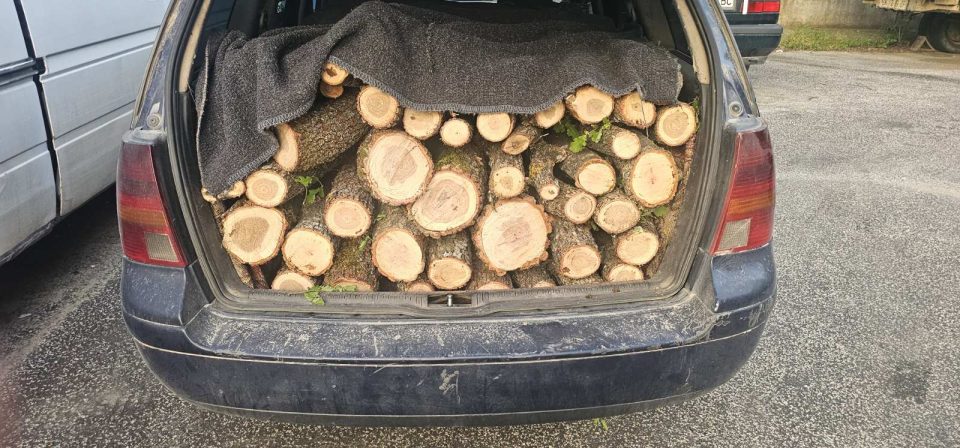 Лишени од слобода дрвокрадци во скопско, дрвата и возилото се одземени