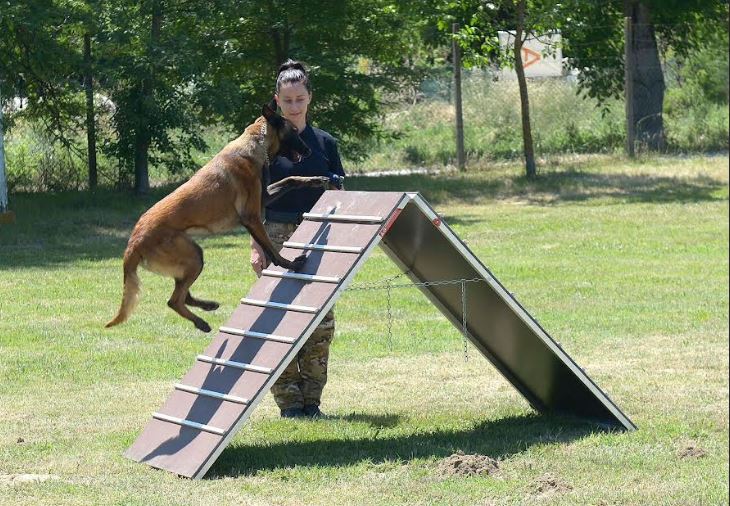 Ученици од Гази Баба во посета на Единицата за службени кучиња на МВР
