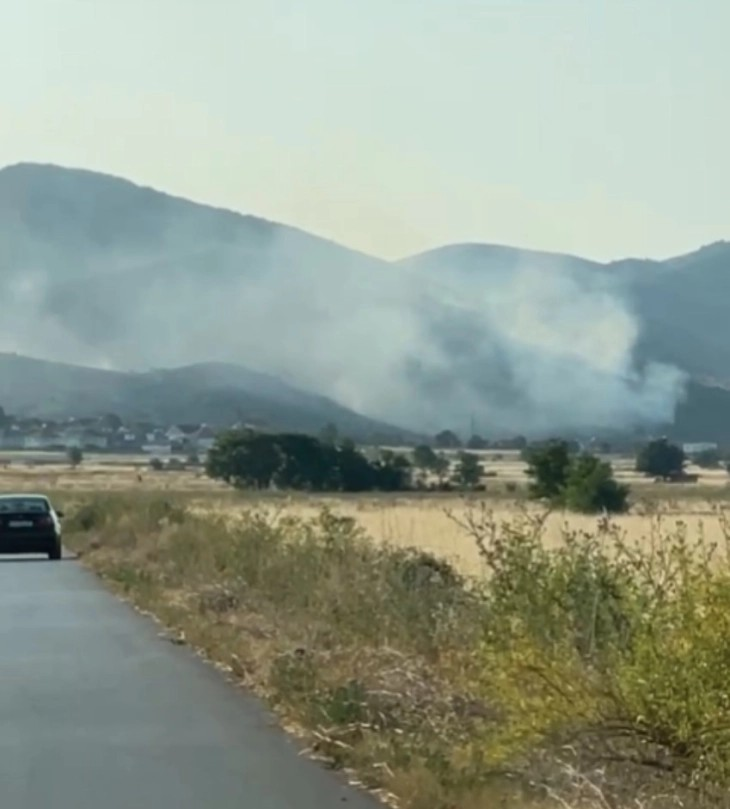 Трет ден активен пожарот на нискостеблеста шума во Липковско, нема опасност од проширување