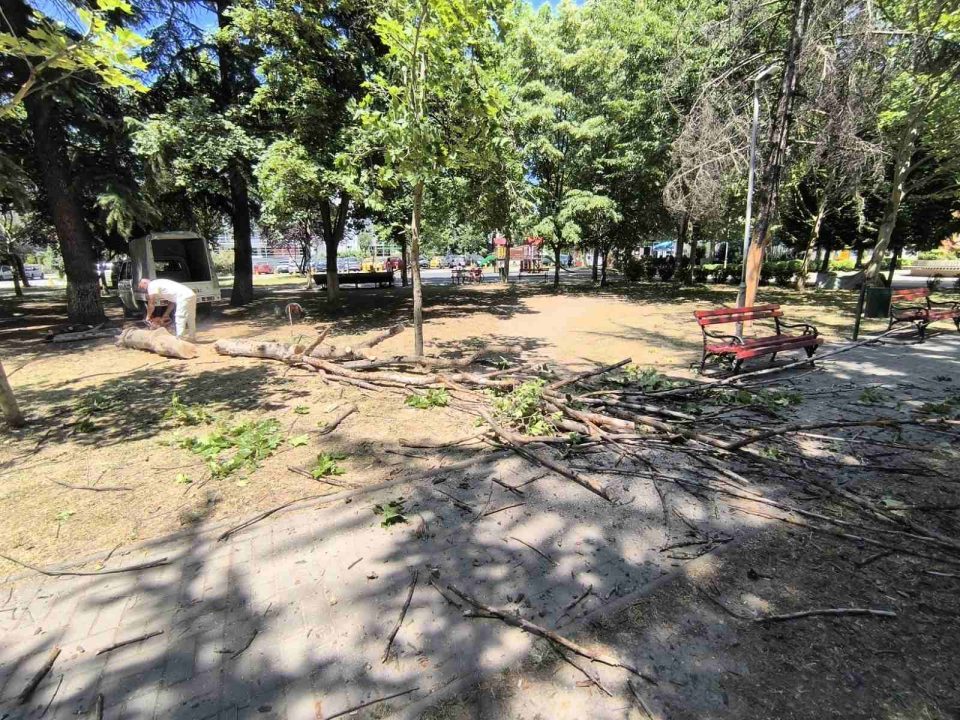 Избегната трагедија во паркот во Ѓорче Петров, граѓаните гневни на Арсовска и ЈП Паркови и зеленило (ФОТО)