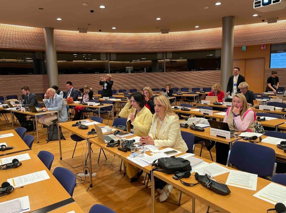 Пратеничката Пешевска на настан во Хелсинки за остварување на еднакви можности меѓу жените и мажите во Парламентите