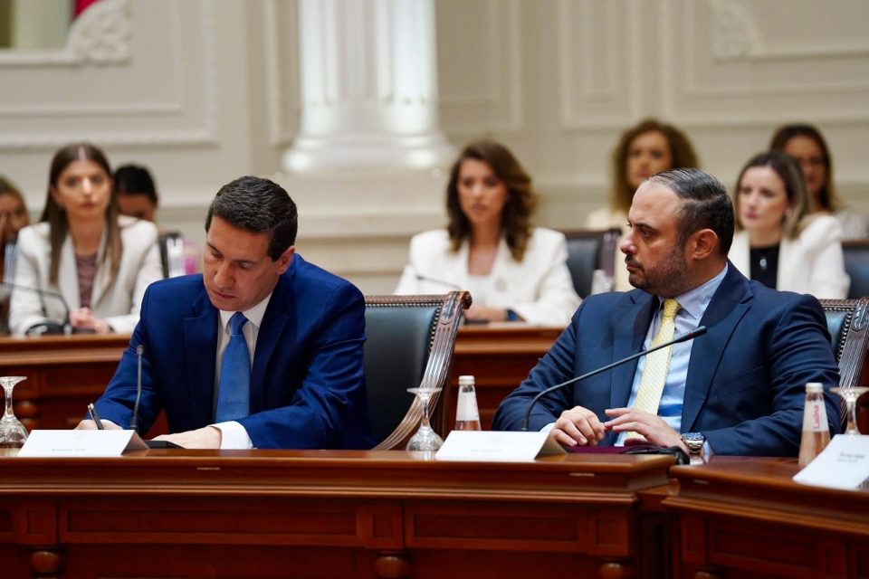 Ѓорѓиевски: Демографските предизвици бараат општествена мобилизација