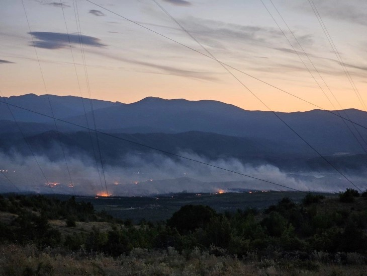 Пожарот кај валандовско Грчиште се уште не е ставен под контрола, вчера полесно повредени двајца вработени во „Македонски шуми“