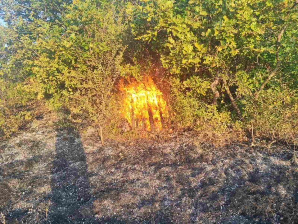 Имаме докази и приведени лица за подметнати пожари со координирана и добро осмислена акција, вели Мицкоски