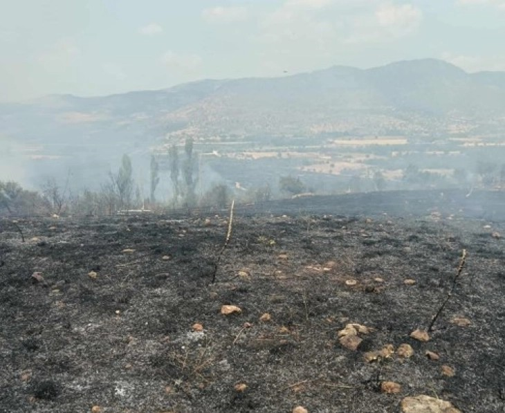Опожарени 130 хектари сува трева и ниска вегетација во Руѓинце