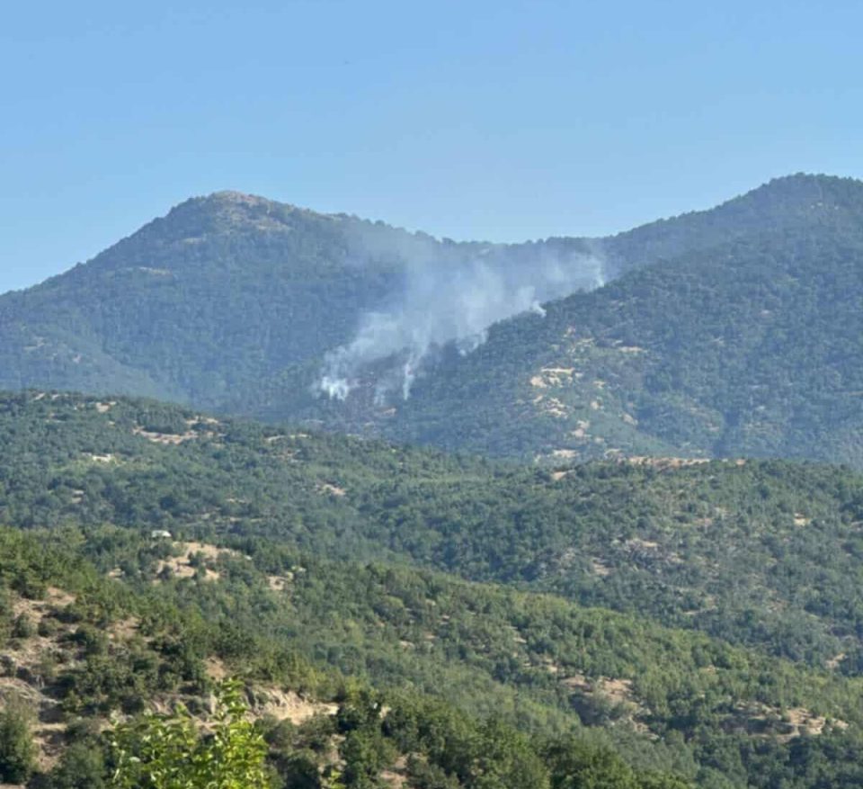 Пожарот на планината Готен, од страната на Берово ставен под контрола