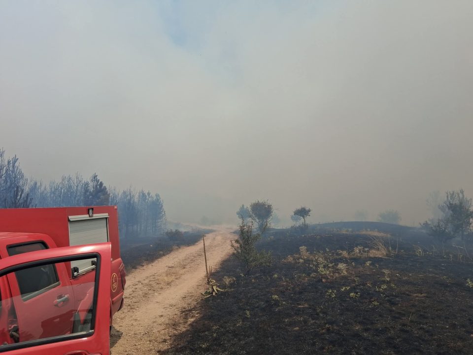 Пожарот кај село Косевица сè уште активен – критични локации во близина на населени места, упатен апел за помош