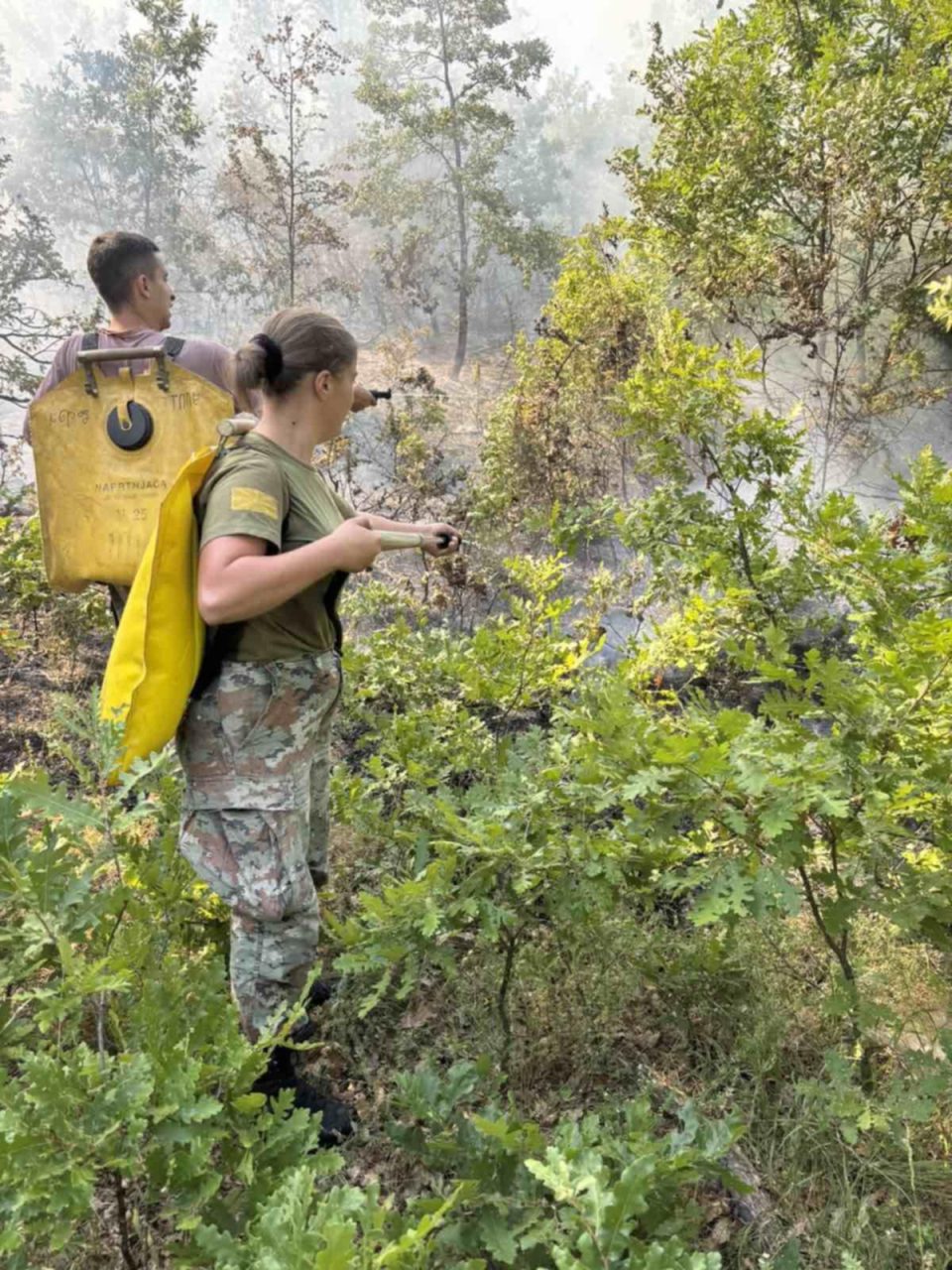 Армијата на терен, се гаснеа пожари во Црешнево