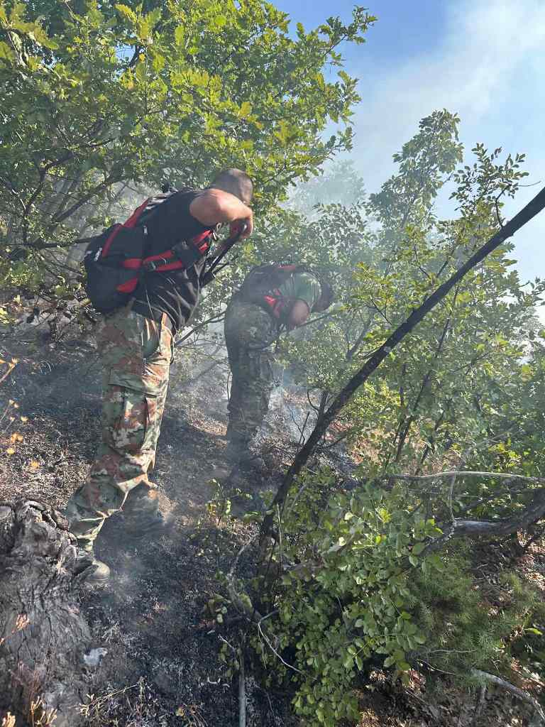 200 армиски припадници гасеа пожари низ Македонија