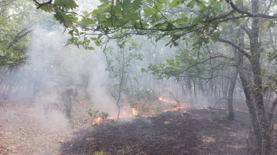 ФОТО: Повеќе од 150 војници вклучени во гаснењето на пожарите