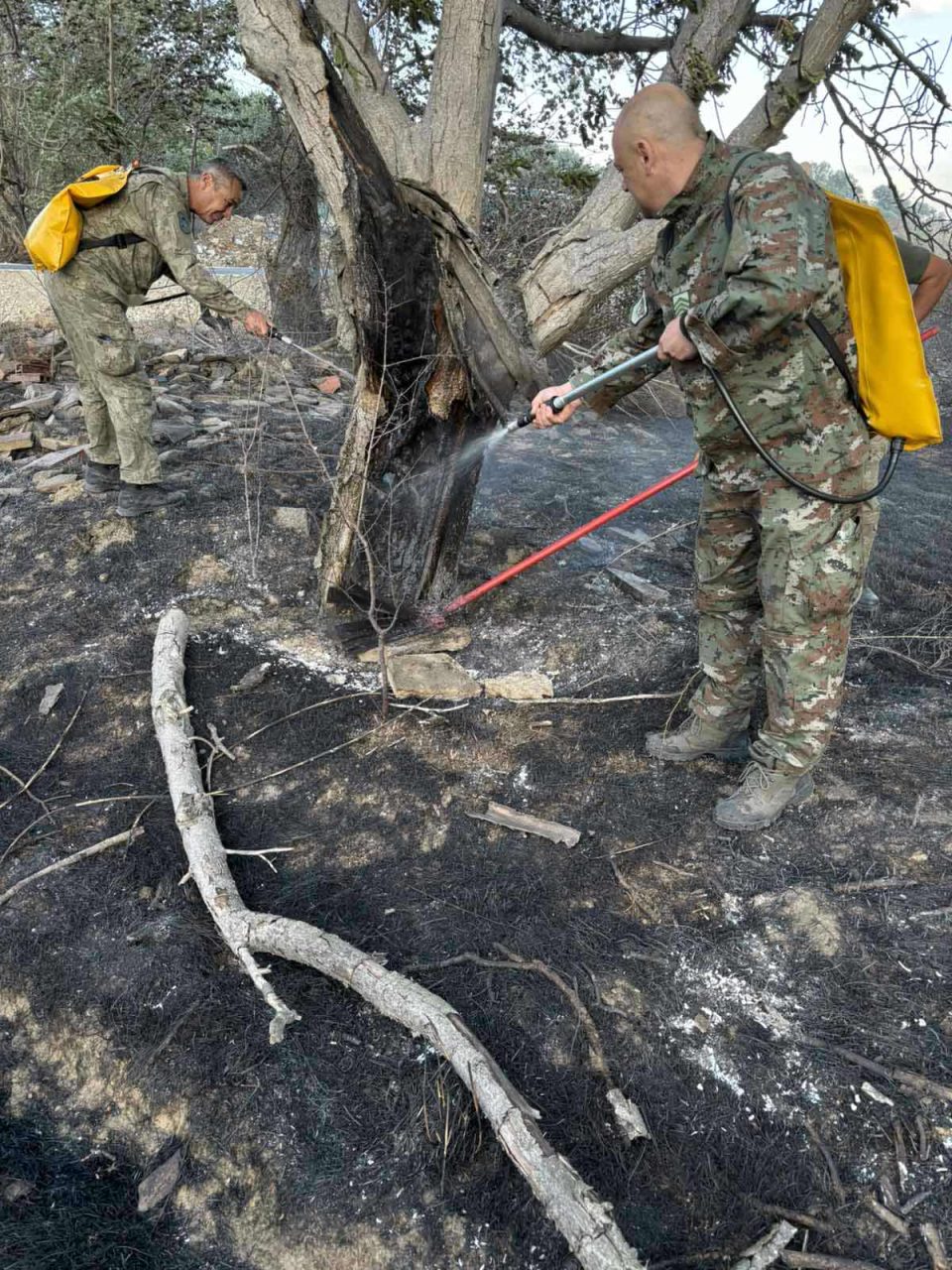 Сѐ уште активен пожарот во Нерав, и АРМ ќе се вклучи во гасењето