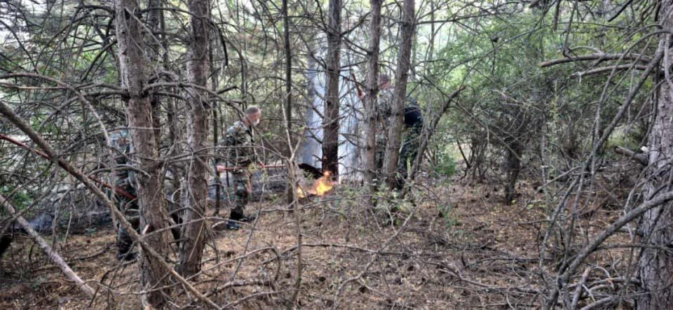 Лишено лице од дебарско поради предизвикување пожар