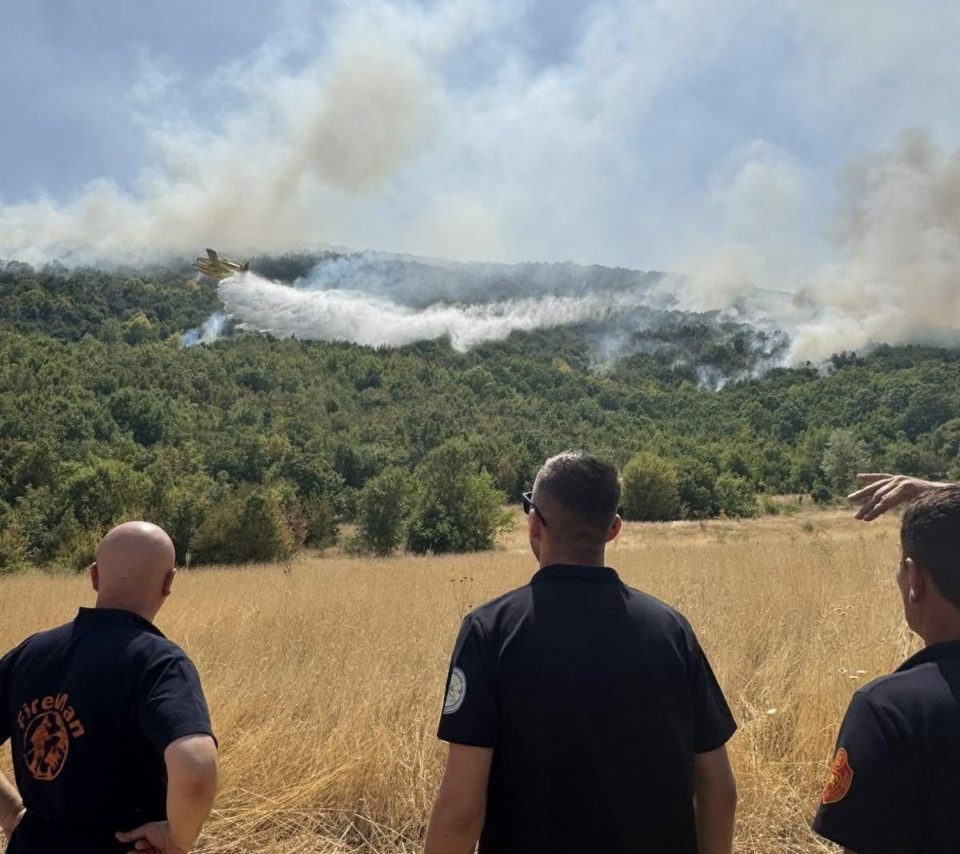 Од вкупно девет пожари на отворен простор, активен е еден