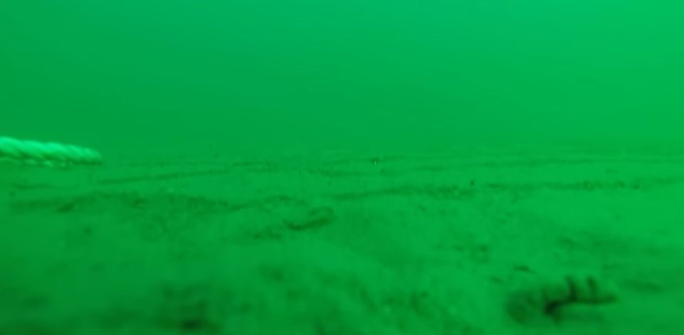 Ја фрла камерата на дното од океанот, па настанало морничаво видео кое го изненади светот: Сите се прашуваа што е ова