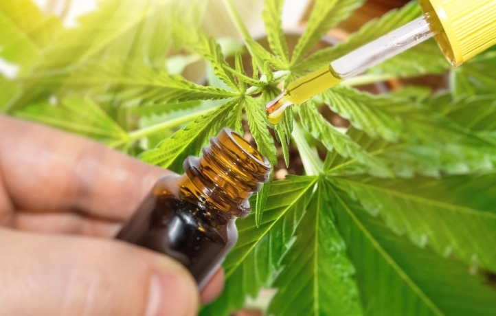 Германија ја ограничува продажбата на канабис преку интернет