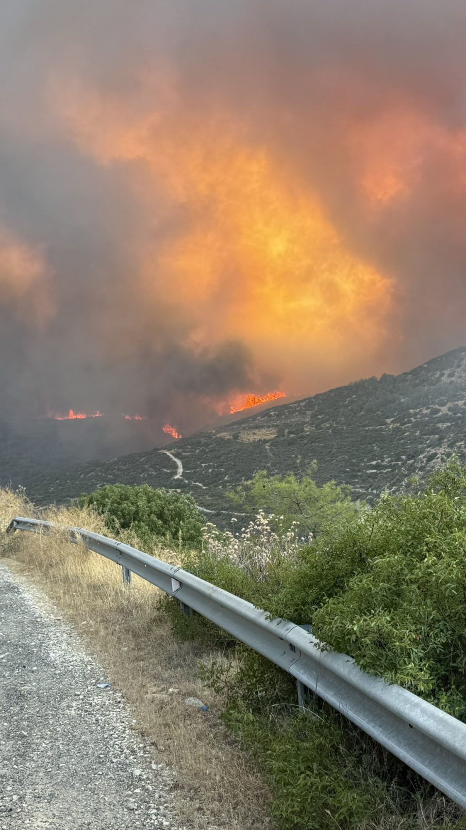 ВИДЕО: Катастрофалниот пожар на Кипар излегува од контрола, огнената стихија зафаќа селата