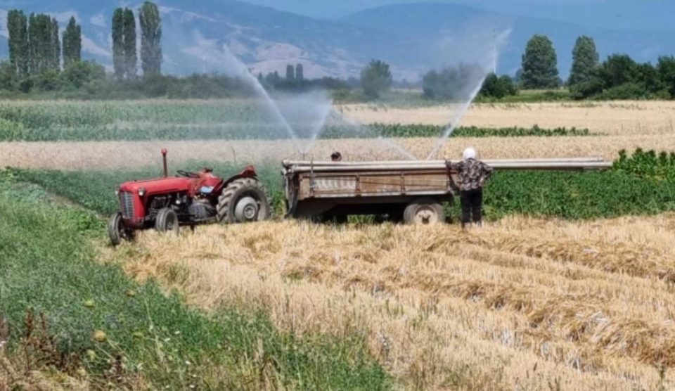 Земјоделците да ги наводнуваат културите, особено пролетните, окопните и индустриските, велат агрометеоролозите