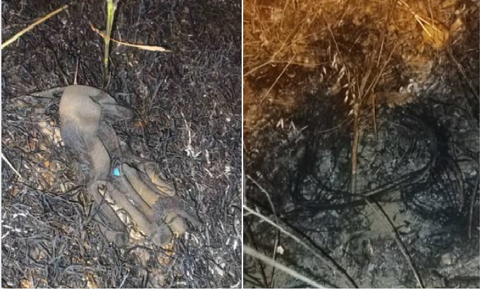 Докази дека пожарот кај езерото е подметнат: НАЈДЕНИ ИЗГОРЕНИ ГУМИ И РАКАВИЦИ КАЈ СМИЛКОВСКО!!!